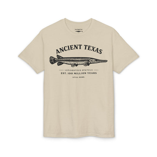 Ancient Texas — Unisex DryBlend® T-Shirt