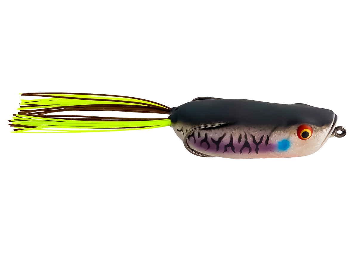 Bad Gill β Swamper