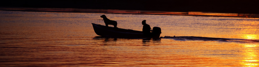 Fishing Dogs: The Best Partner You Never Have to Argue With