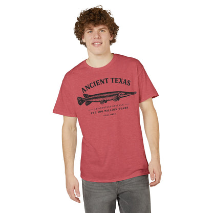 Ancient Texas — Unisex DryBlend® T-Shirt