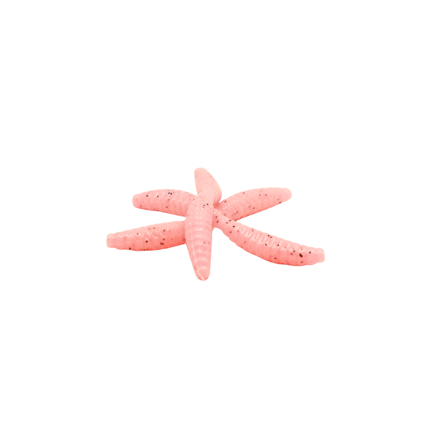 1" Wax Worm