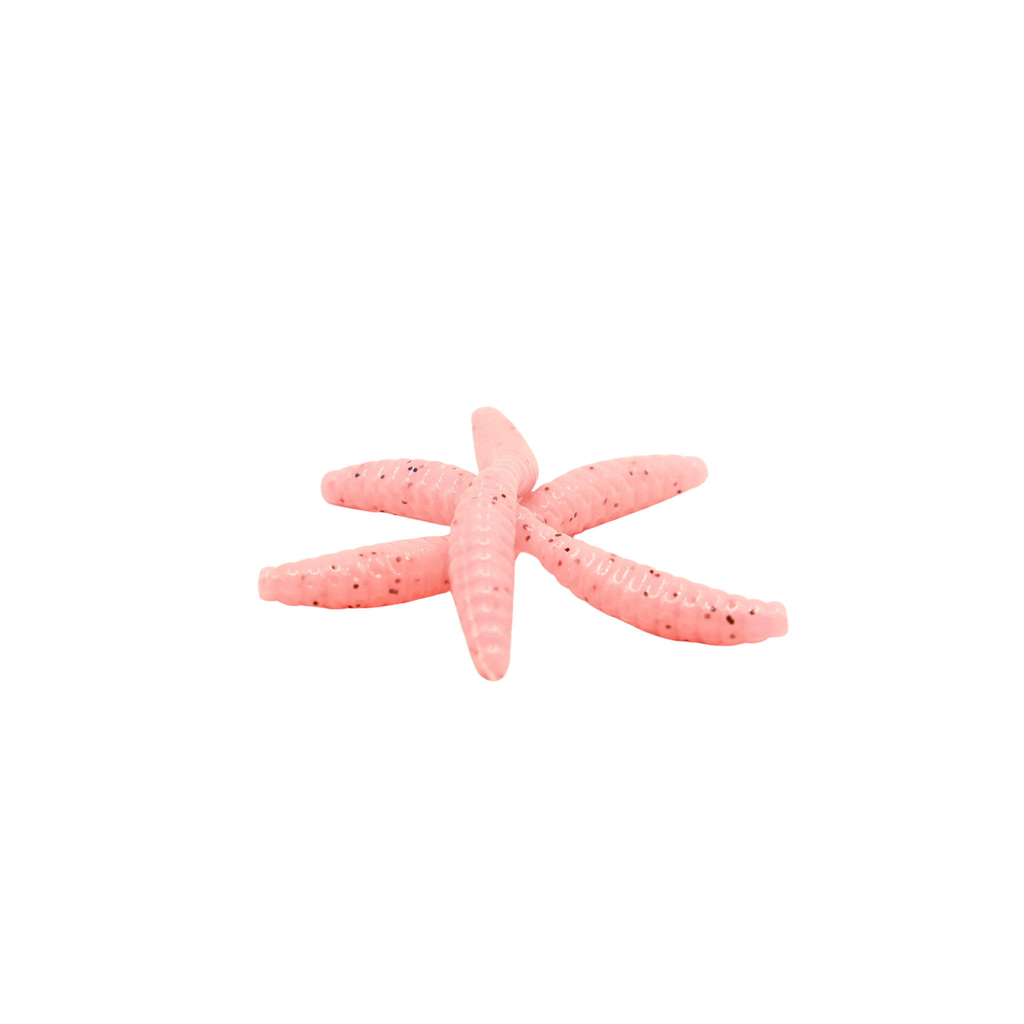 1" Wax Worm