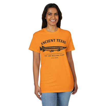 Ancient Texas — Unisex DryBlend® T-Shirt
