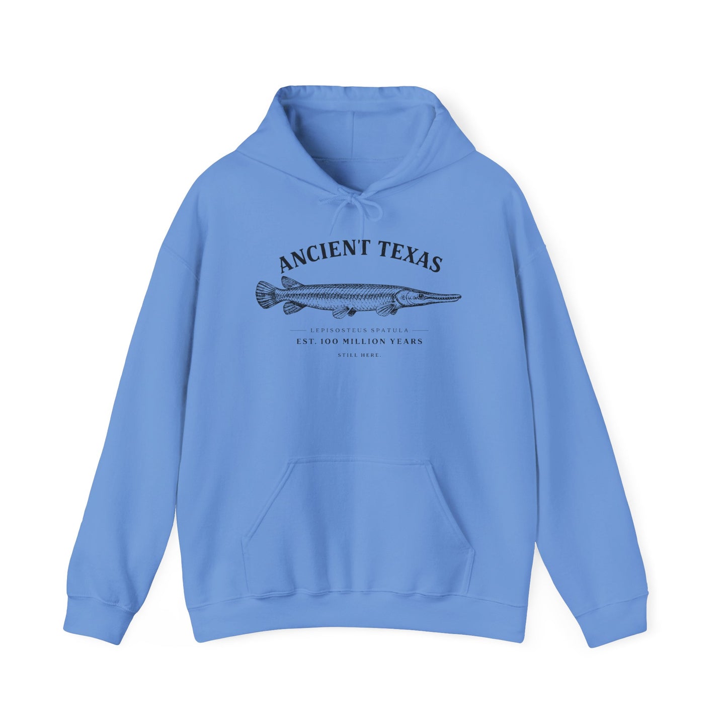 Ancient Texas — Unisex Hooded Sweatshirt