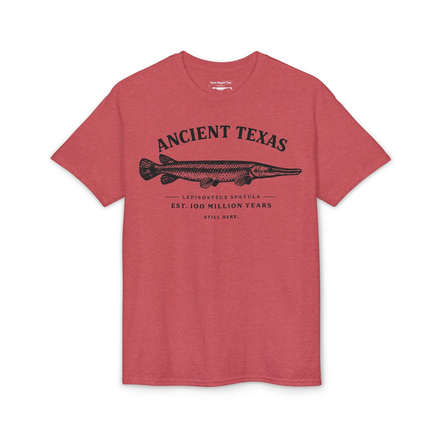 Ancient Texas — Unisex DryBlend® T-Shirt