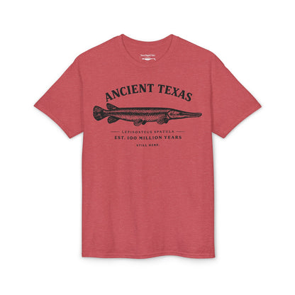Ancient Texas — Unisex DryBlend® T-Shirt