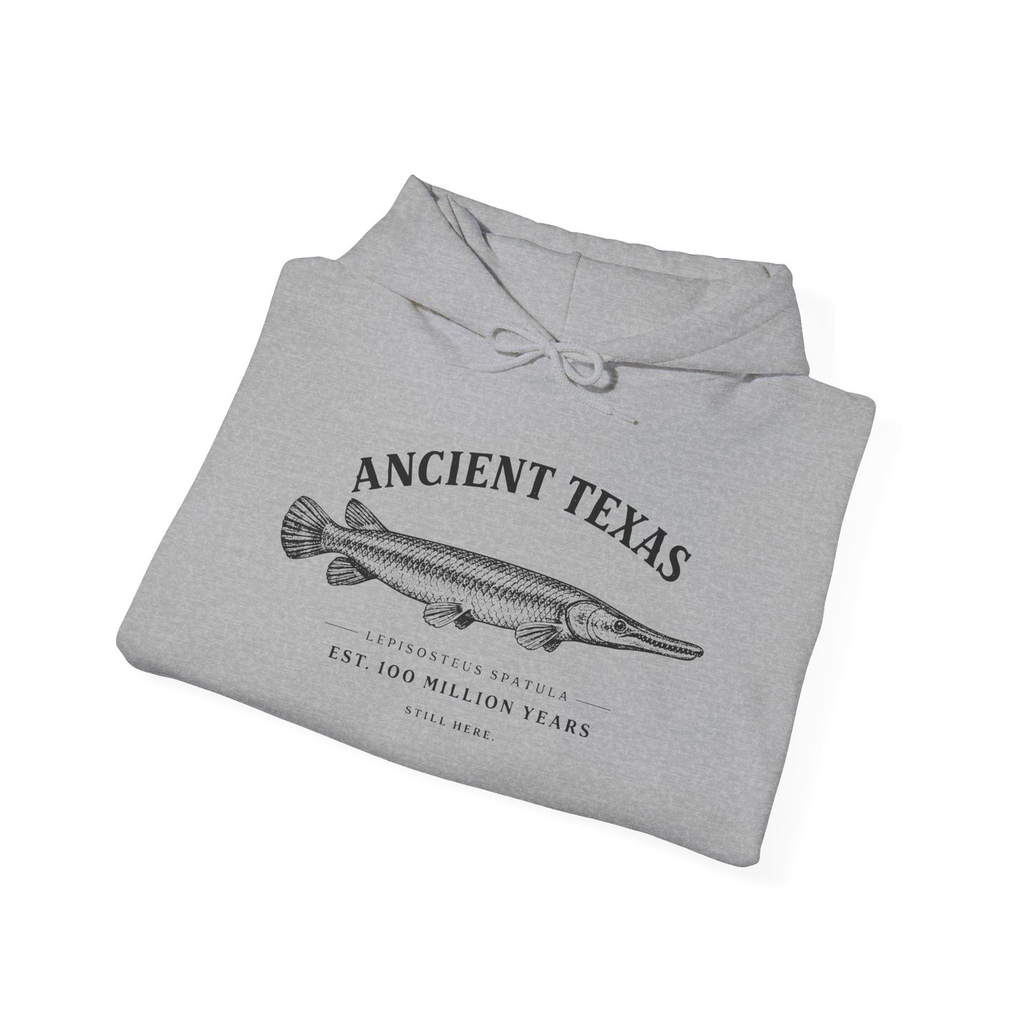Ancient Texas — Unisex Hooded Sweatshirt