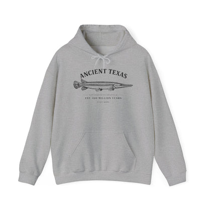 Ancient Texas — Unisex Hooded Sweatshirt