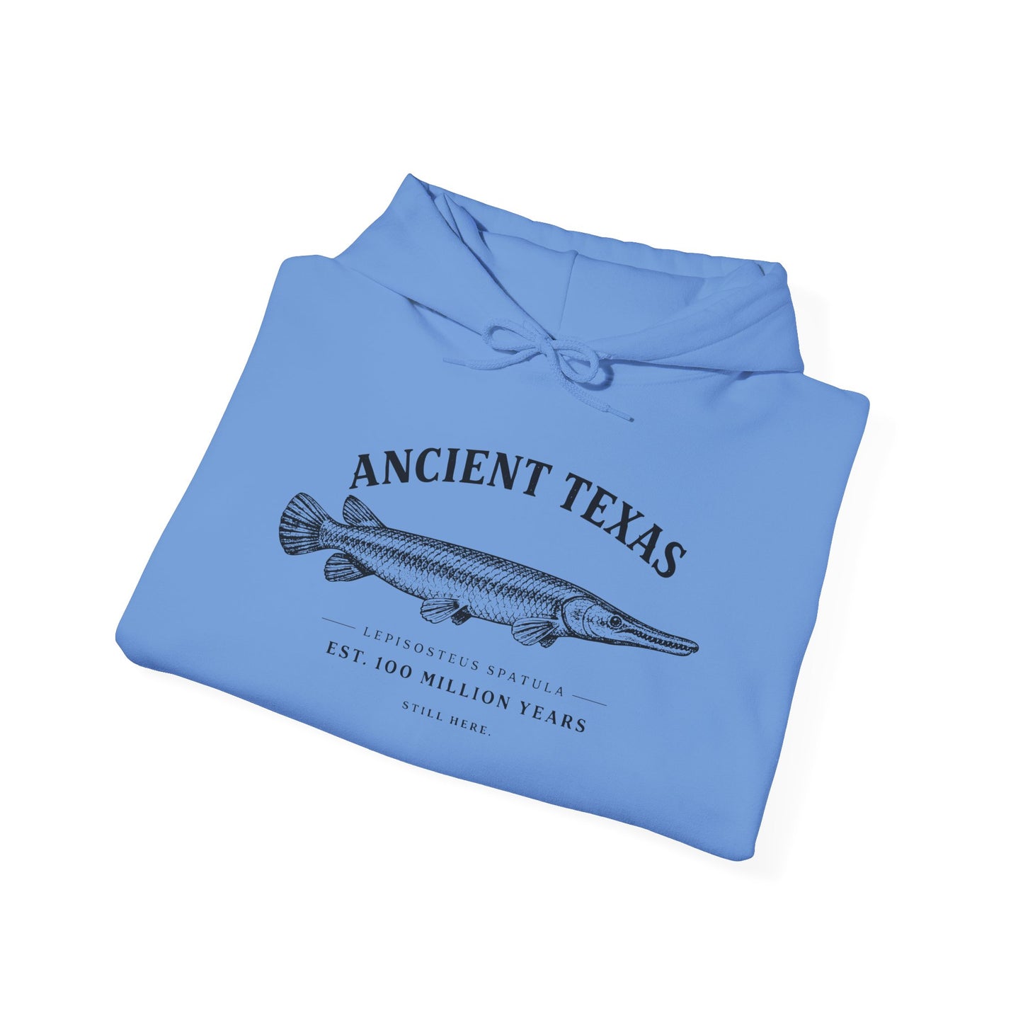 Ancient Texas — Unisex Hooded Sweatshirt