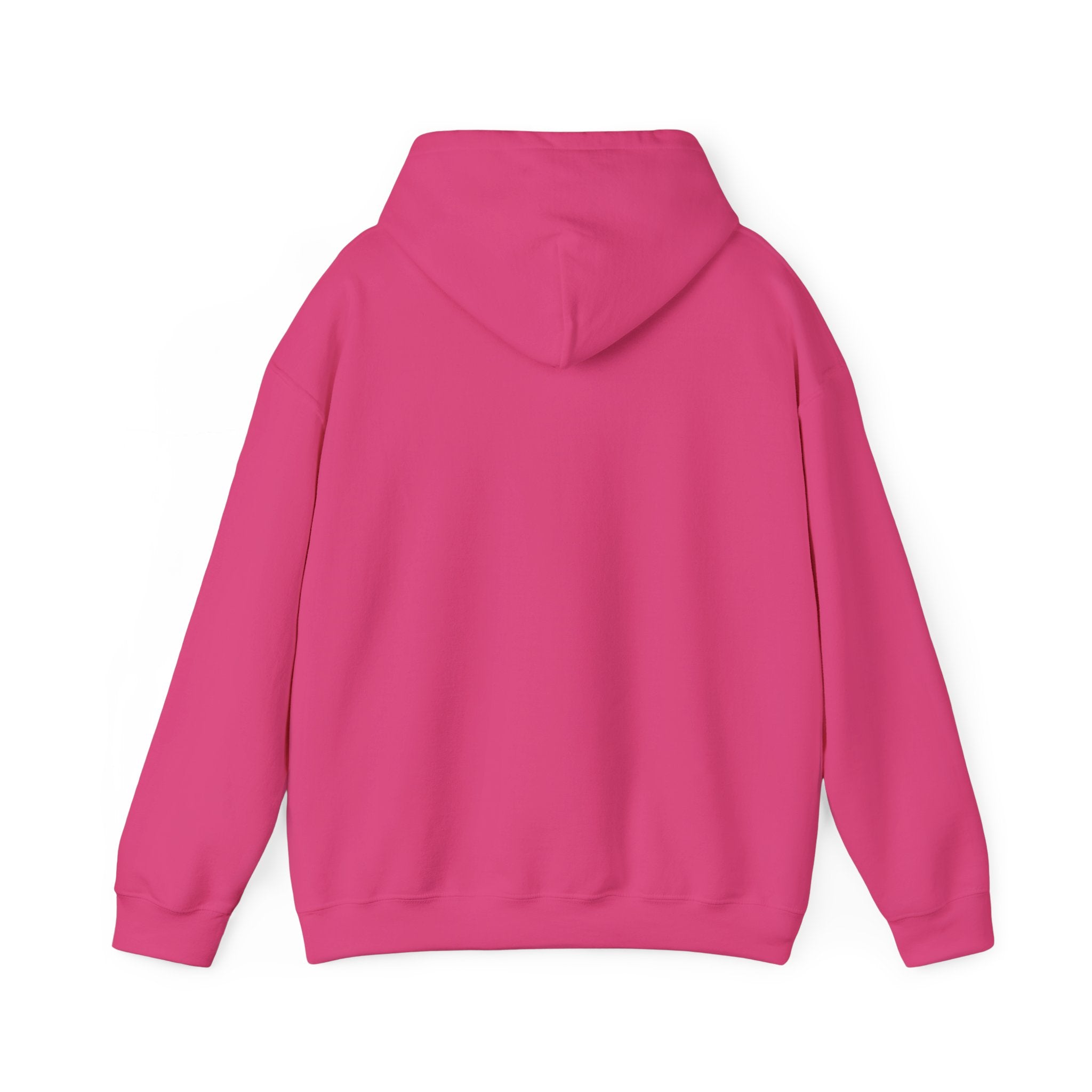 Ancient Texas — Unisex Hooded Sweatshirt