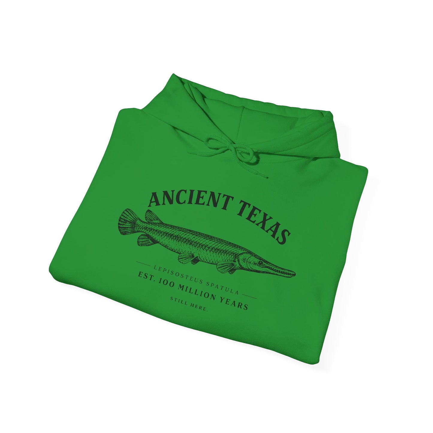 Ancient Texas — Unisex Hooded Sweatshirt
