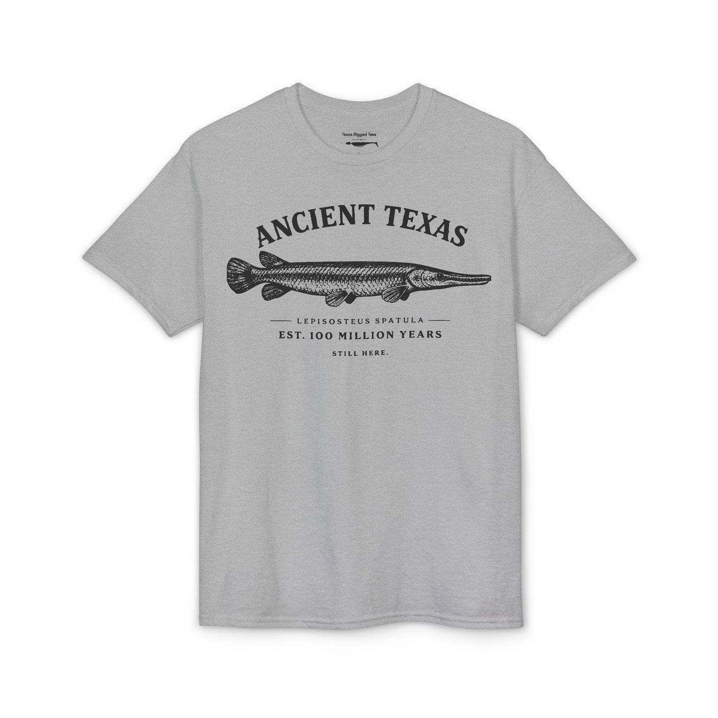 Ancient Texas — Unisex DryBlend® T-Shirt