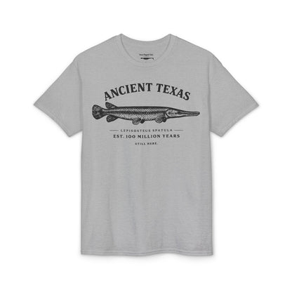Ancient Texas — Unisex DryBlend® T-Shirt
