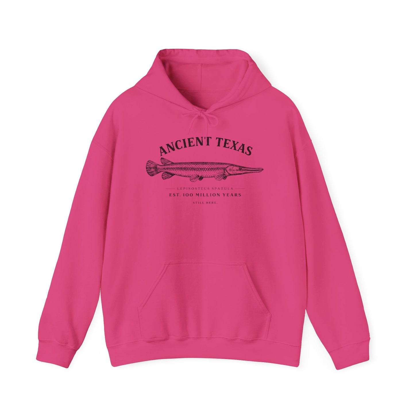 Ancient Texas — Unisex Hooded Sweatshirt