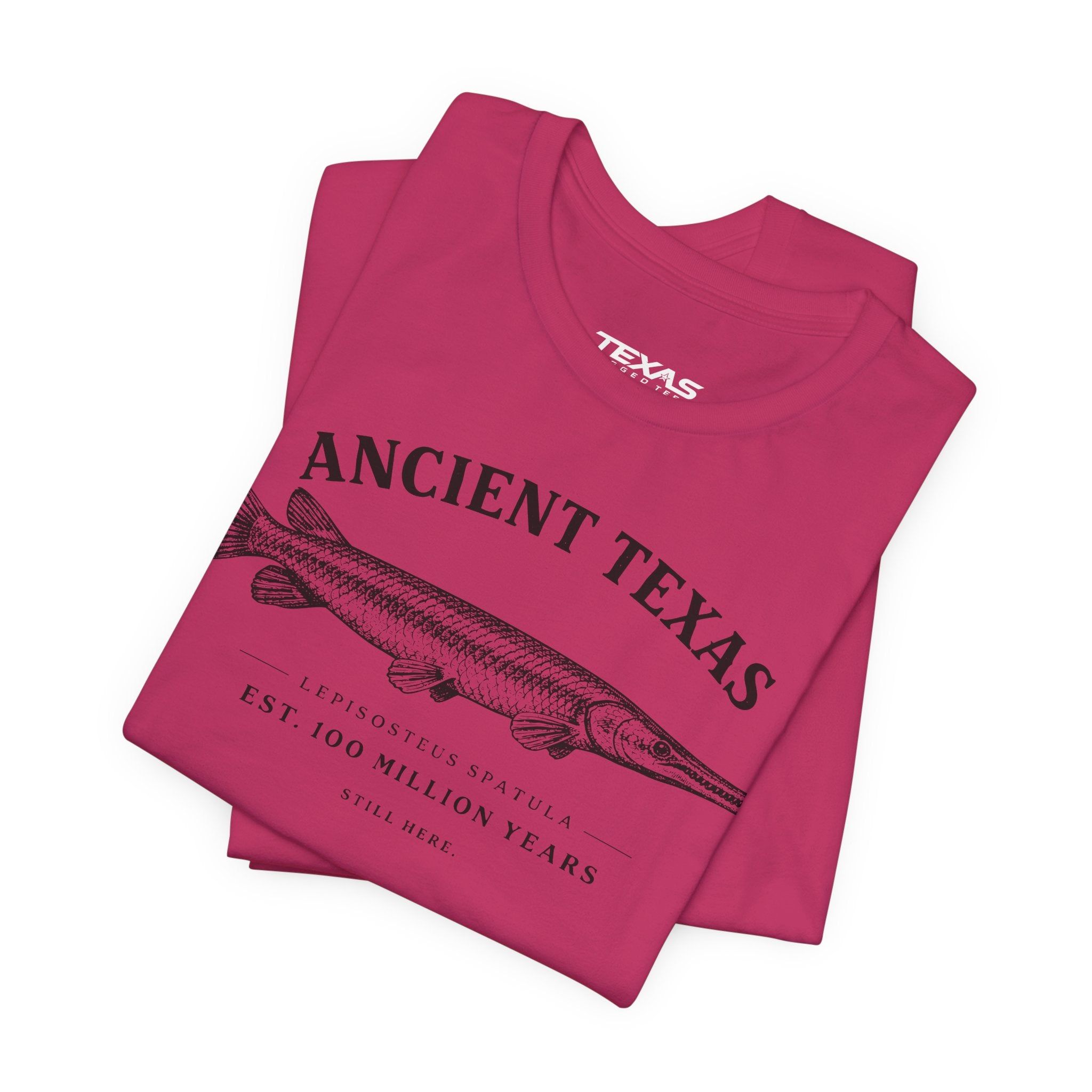 Ancient Texas — Unisex Cotton Tee