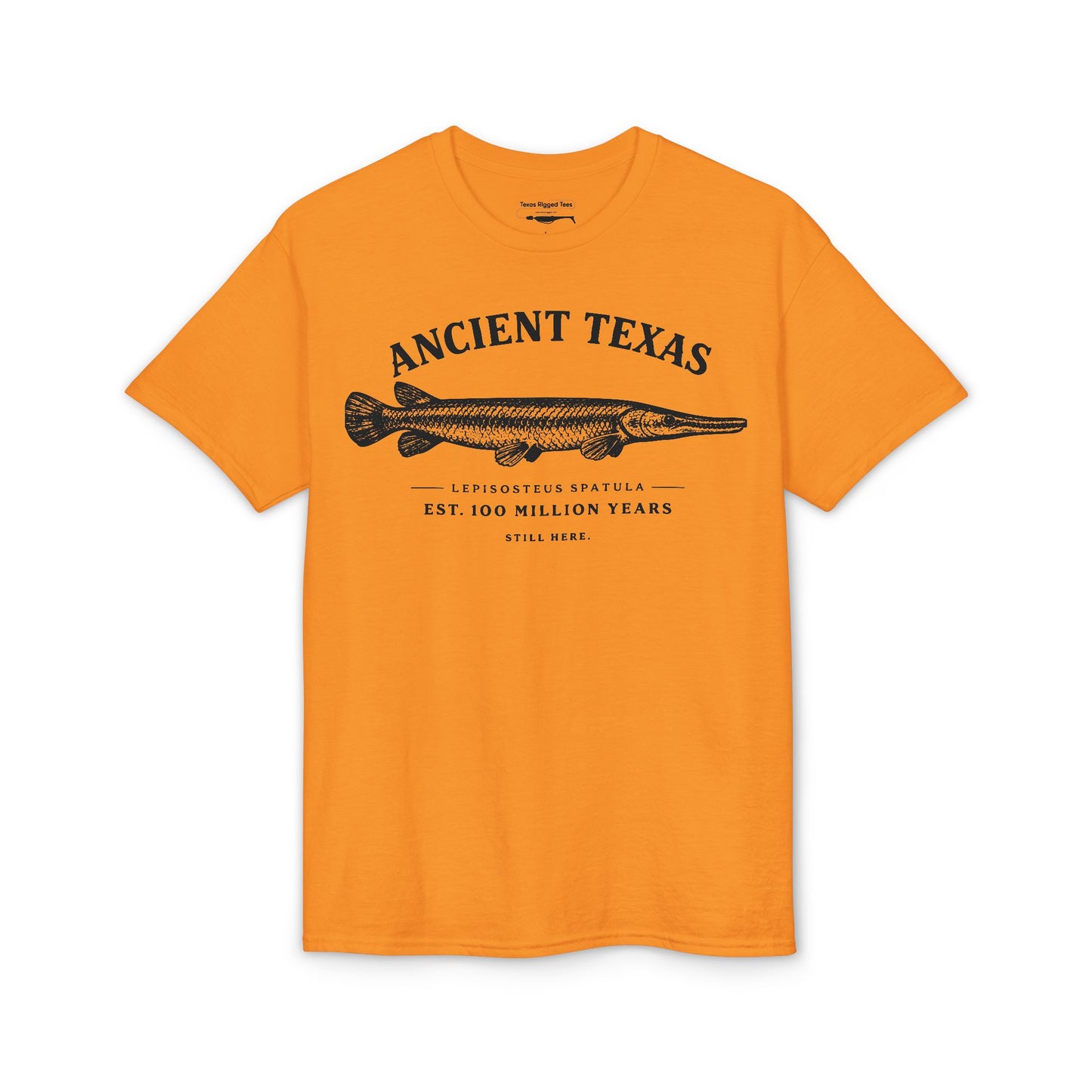 Ancient Texas — Unisex DryBlend® T-Shirt