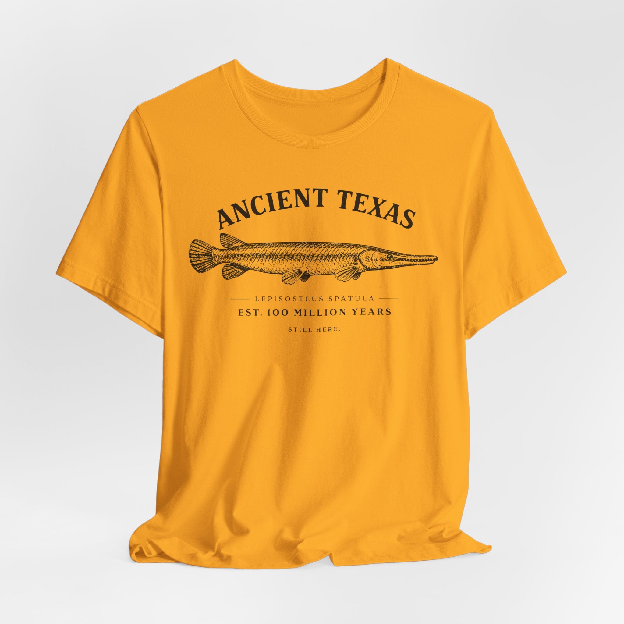 Ancient Texas — Unisex Cotton Tee
