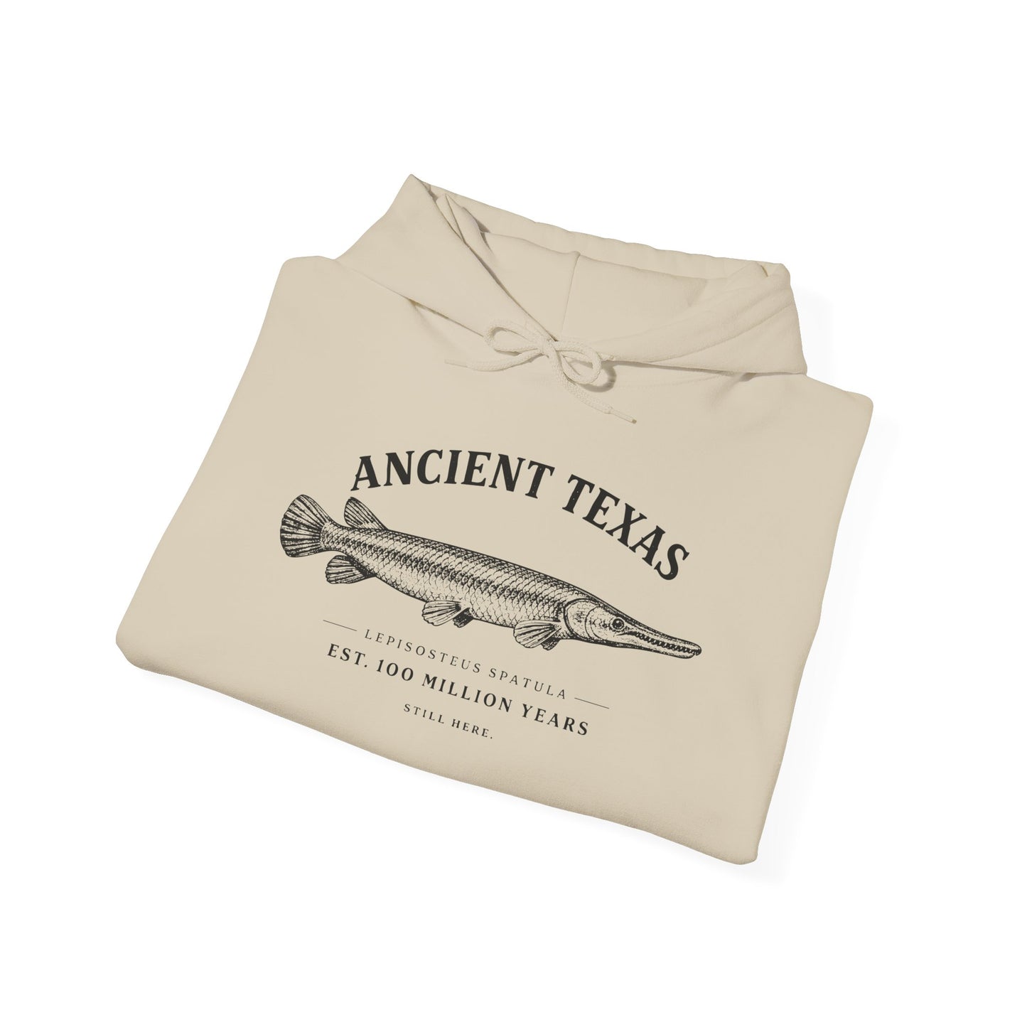 Ancient Texas — Unisex Hooded Sweatshirt