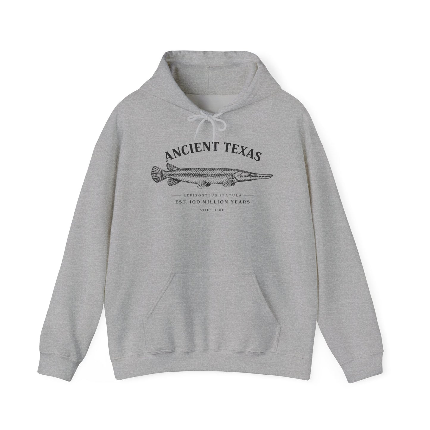 Ancient Texas — Unisex Hooded Sweatshirt