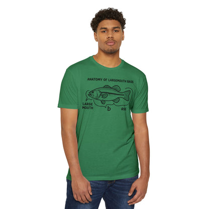Anatomy of a Largemouth Bass — Cotton-Poly Blend T-Shirt