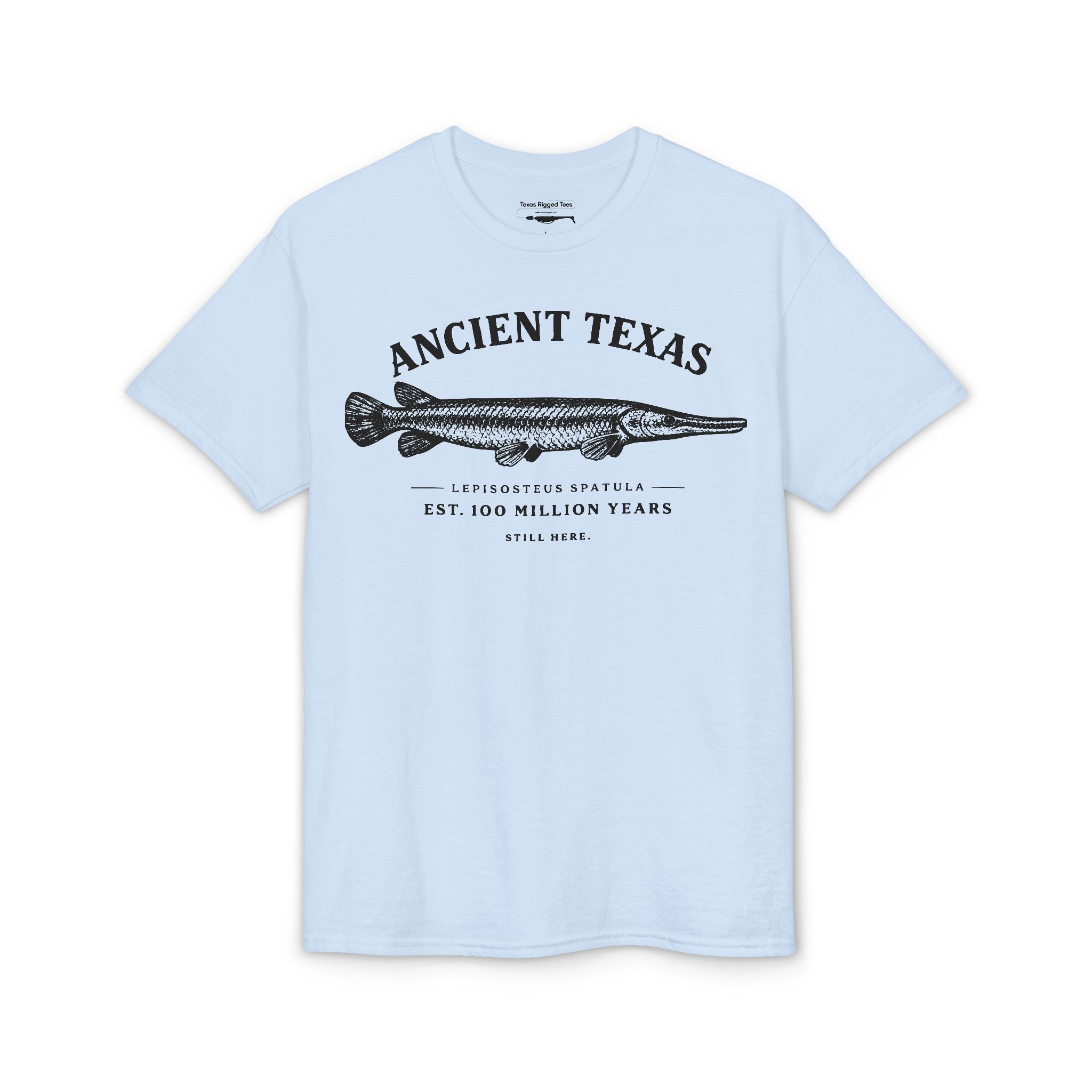 Ancient Texas — Unisex DryBlend® T-Shirt