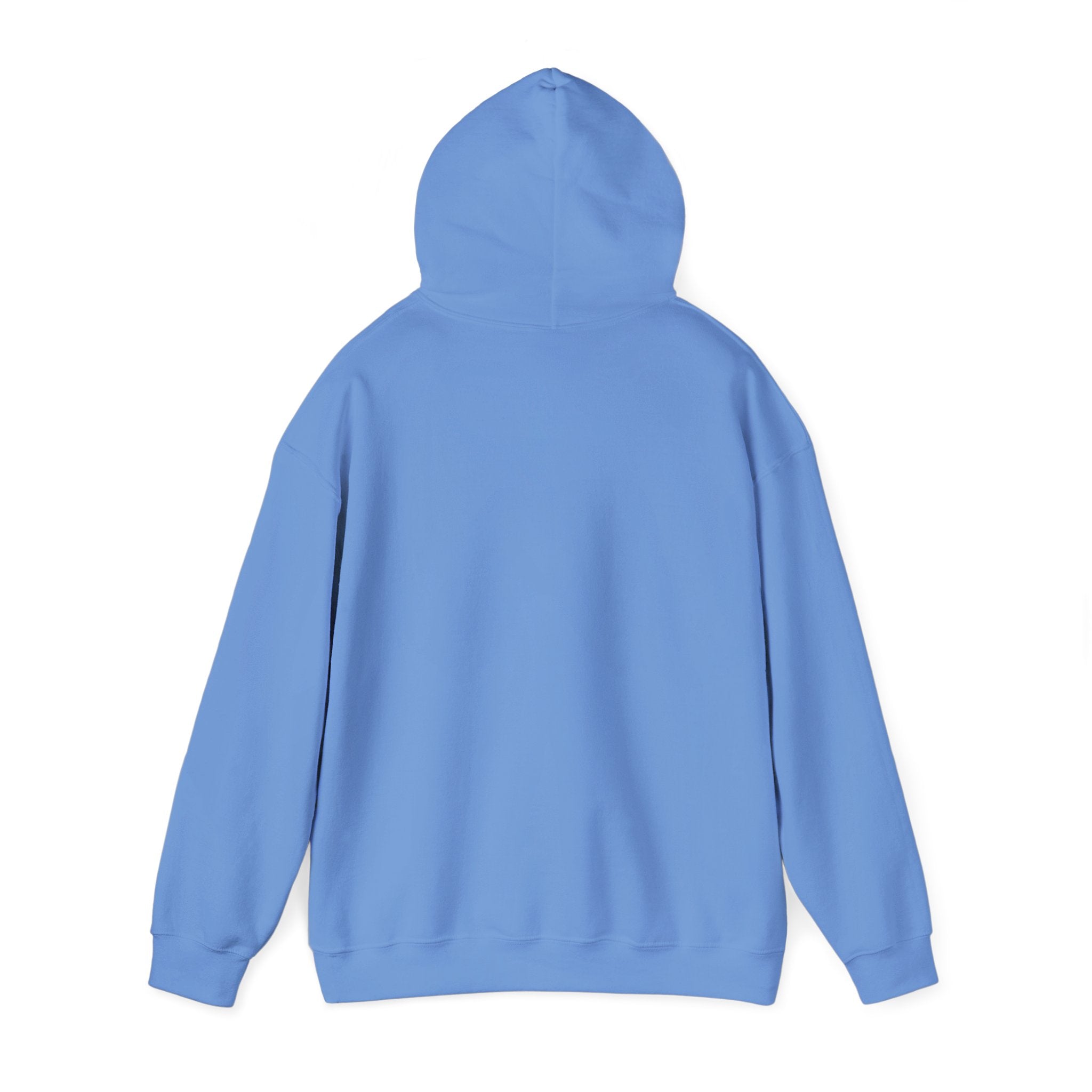Ancient Texas — Unisex Hooded Sweatshirt
