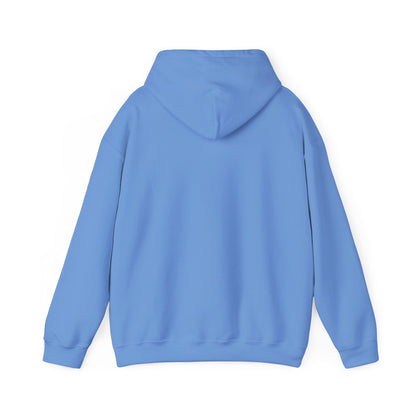 Ancient Texas — Unisex Hooded Sweatshirt