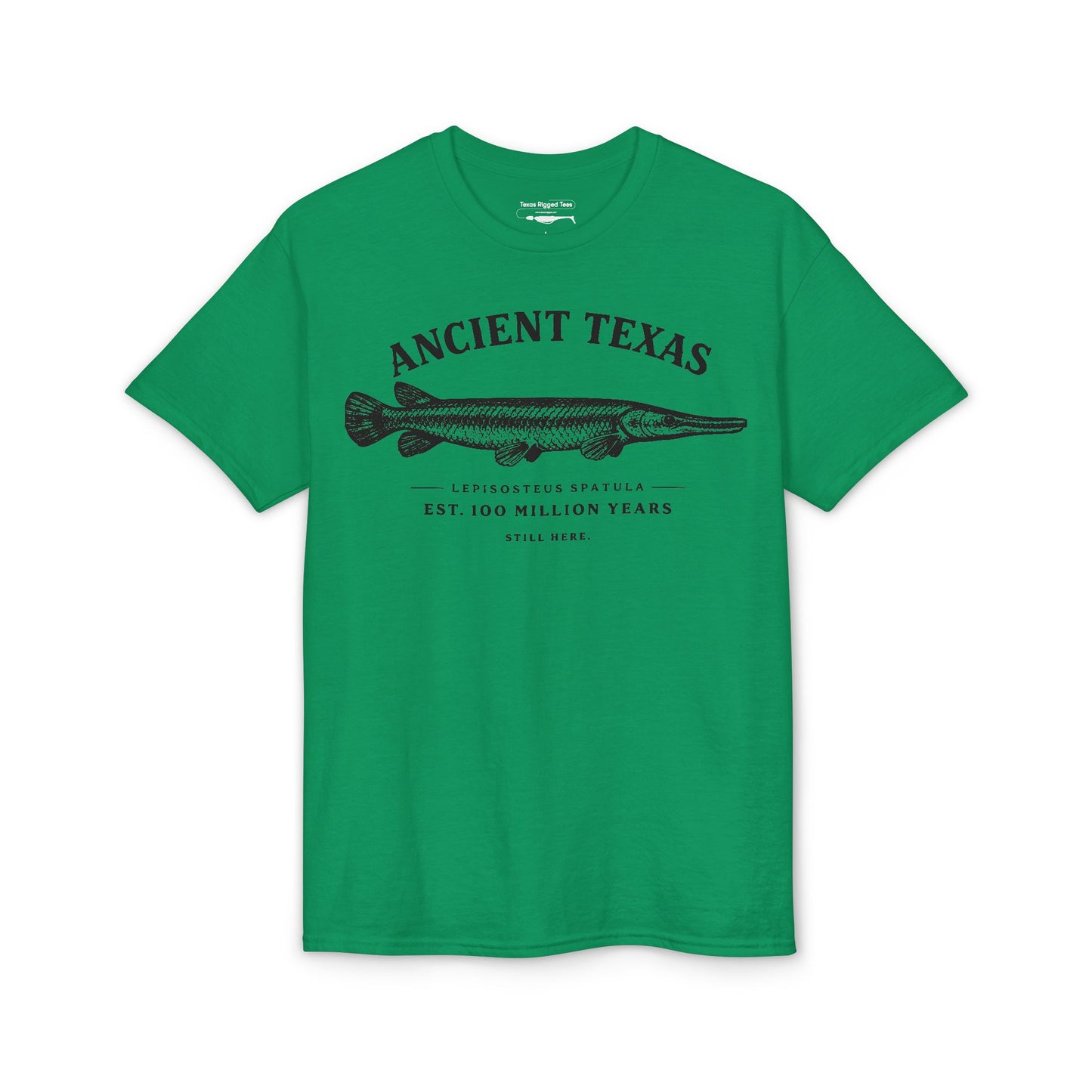 Ancient Texas — Unisex DryBlend® T-Shirt