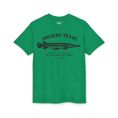 Ancient Texas — Unisex DryBlend® T-Shirt
