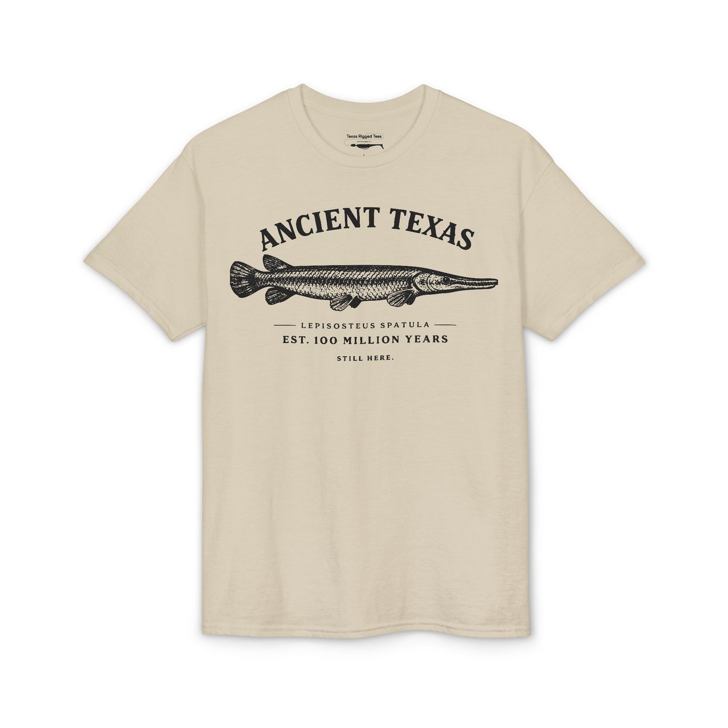 Ancient Texas — Unisex DryBlend® T-Shirt