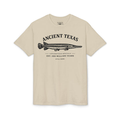 Ancient Texas — Unisex DryBlend® T-Shirt