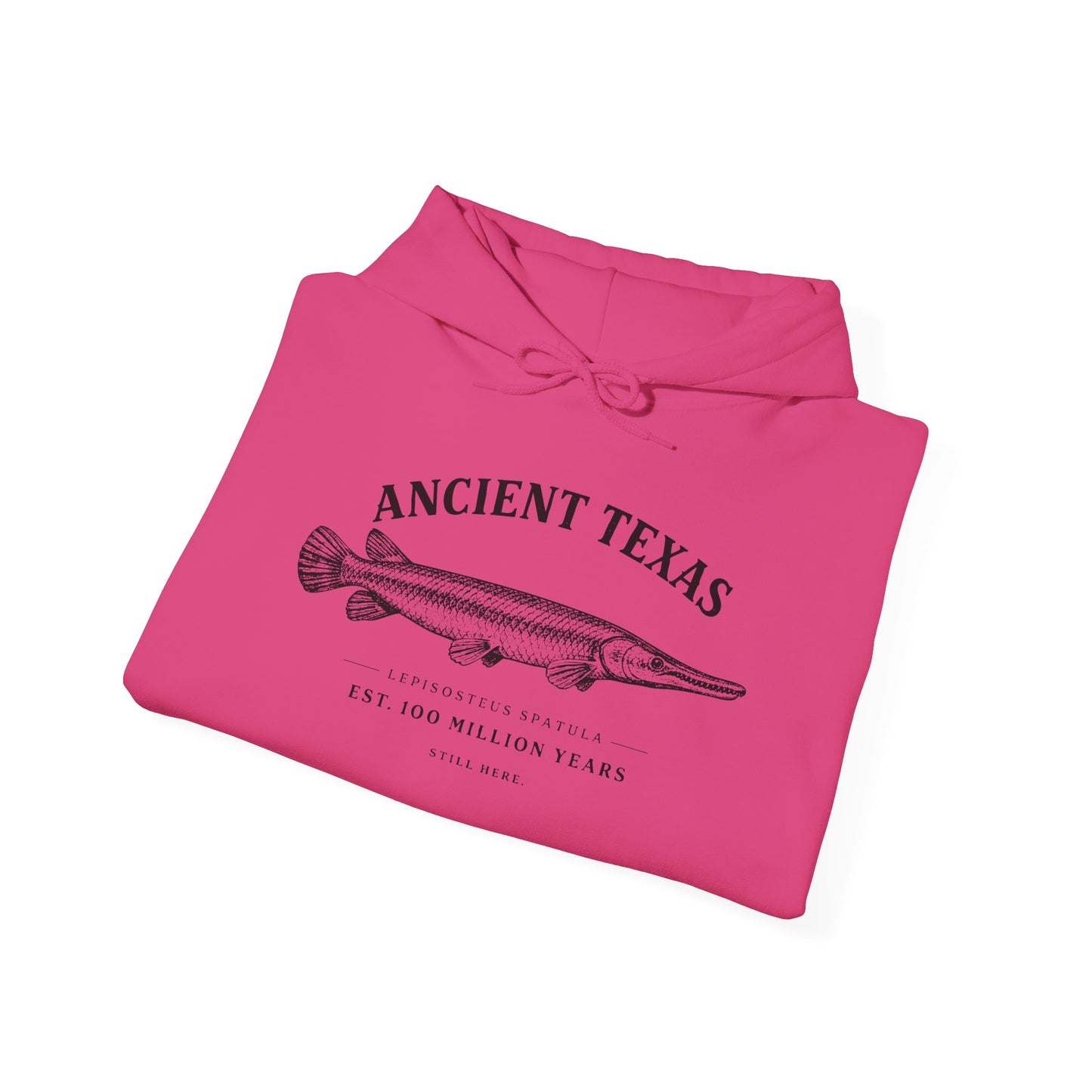 Ancient Texas — Unisex Hooded Sweatshirt