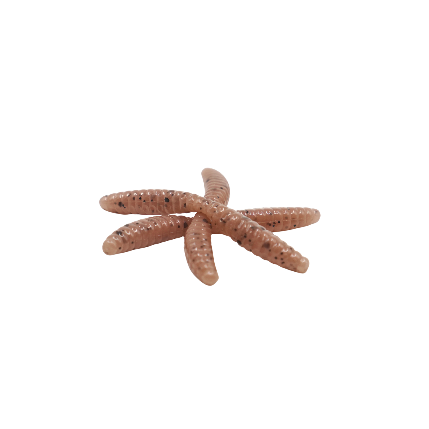 1" Wax Worm
