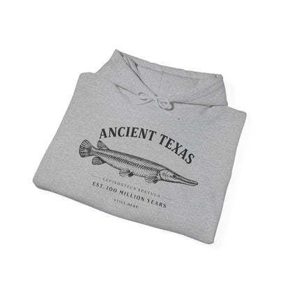 Ancient Texas — Unisex Hooded Sweatshirt