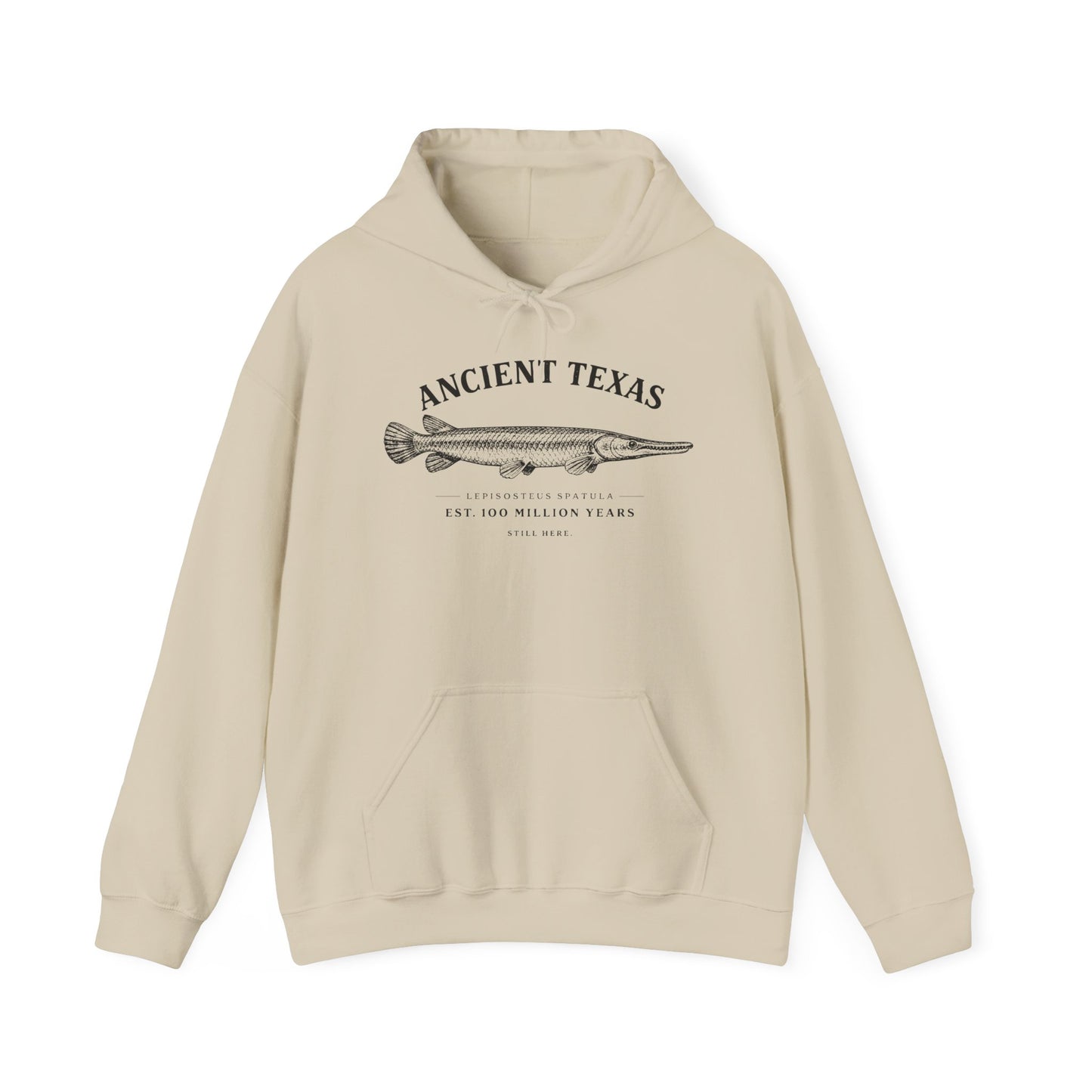Ancient Texas — Unisex Hooded Sweatshirt