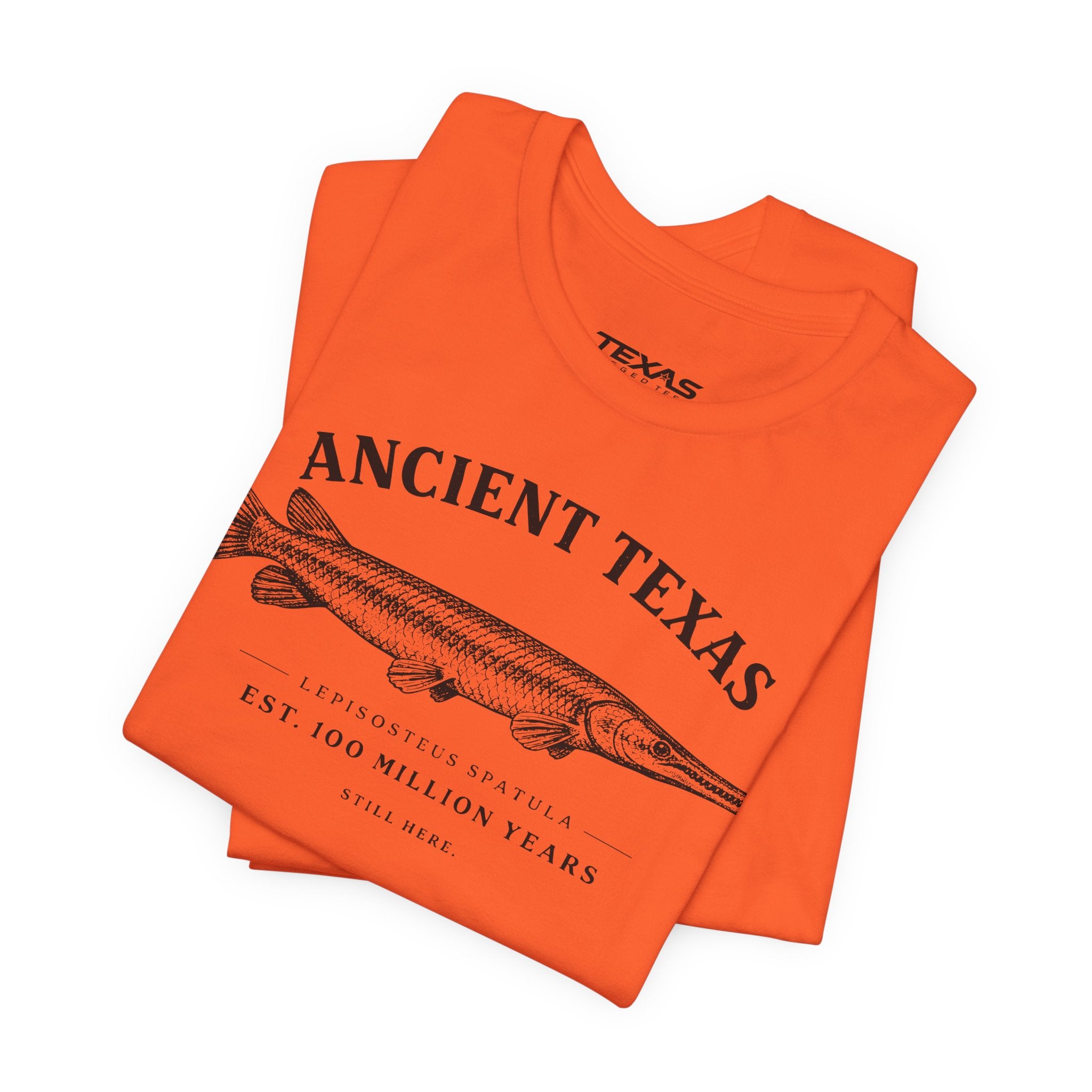 Ancient Texas — Unisex Cotton Tee