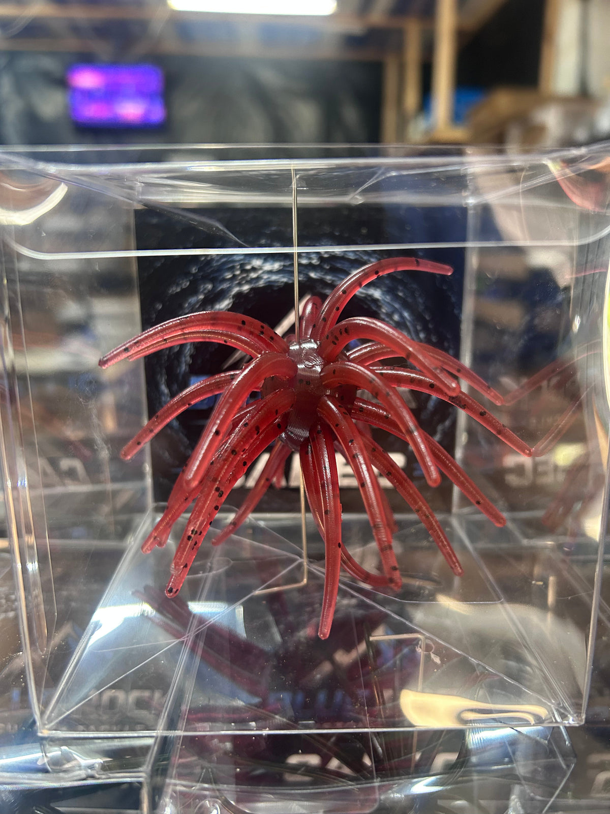 Cabec Urchin 25mm