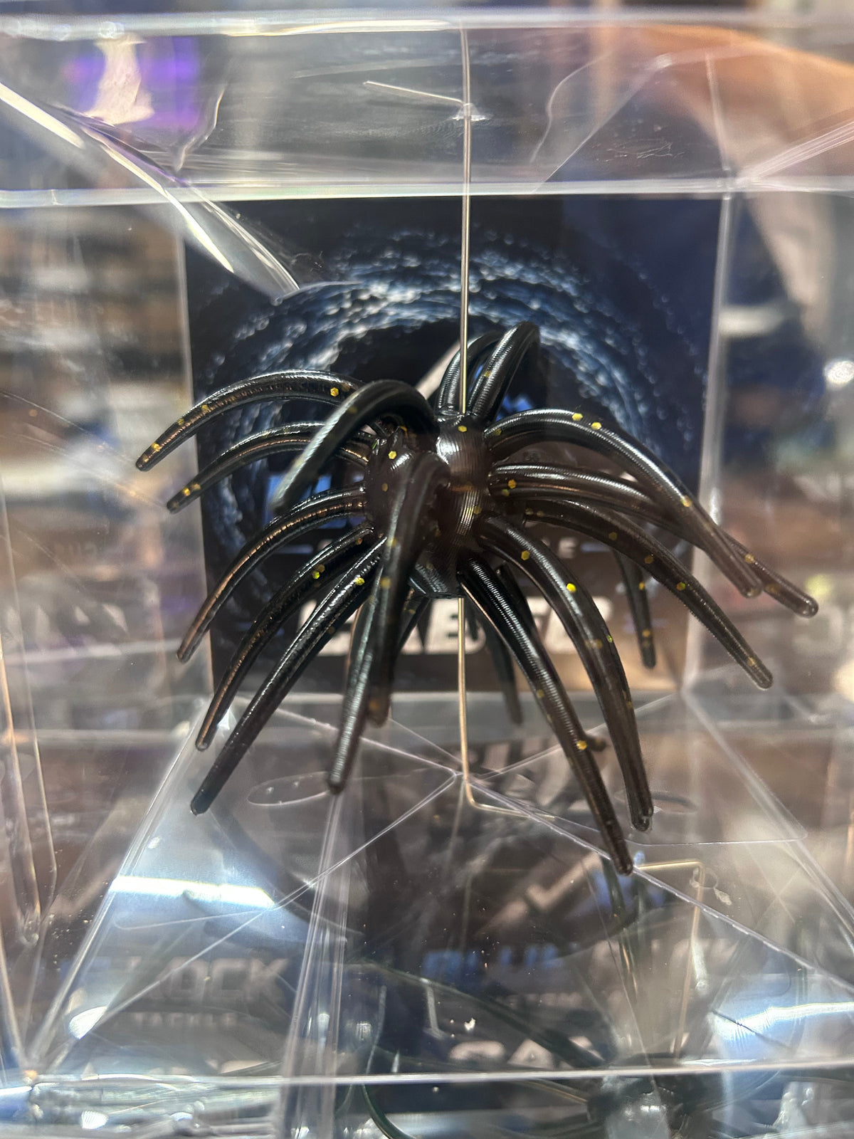 Cabec Urchin 25mm