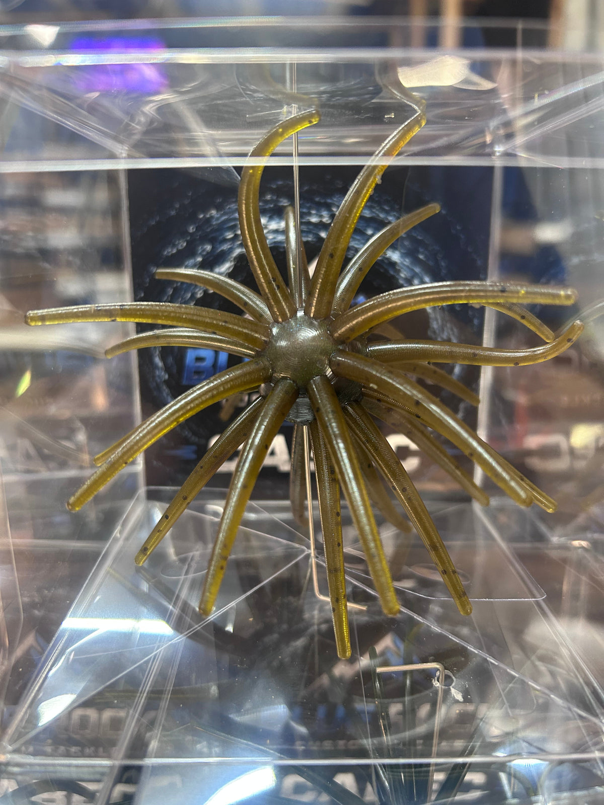 Cabec Urchin 25mm