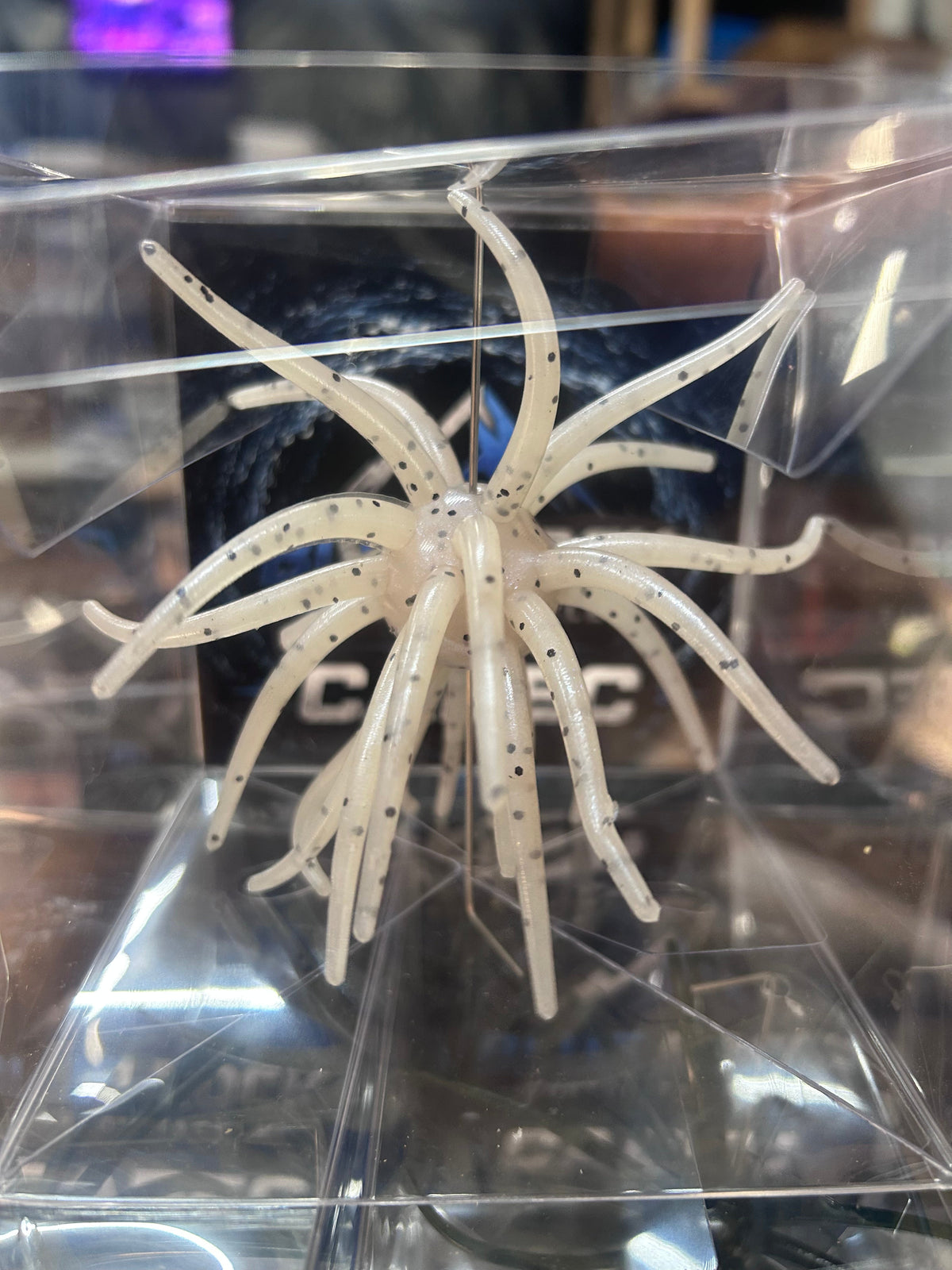Cabec Urchin 25mm