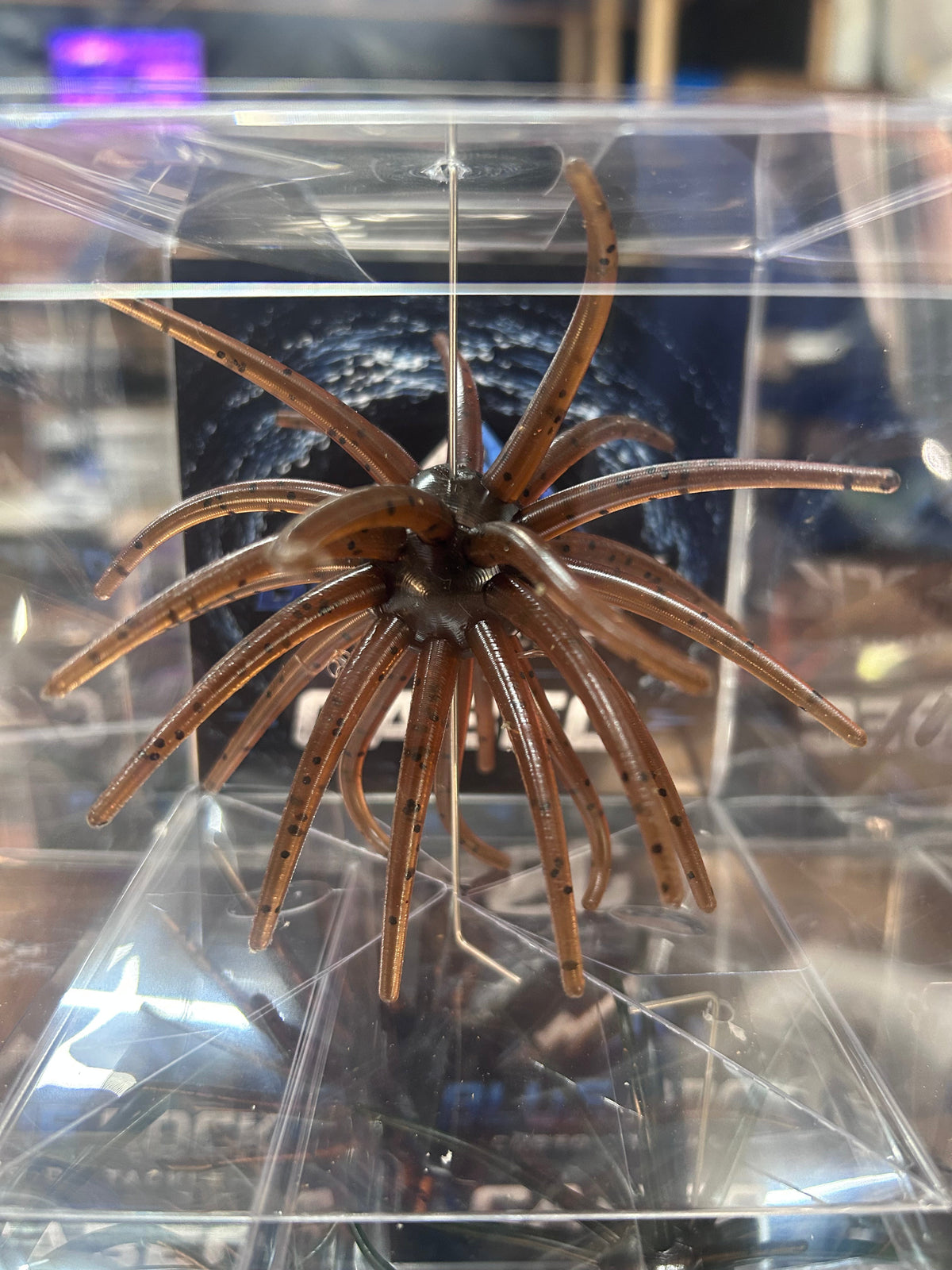 Cabec Urchin 25mm