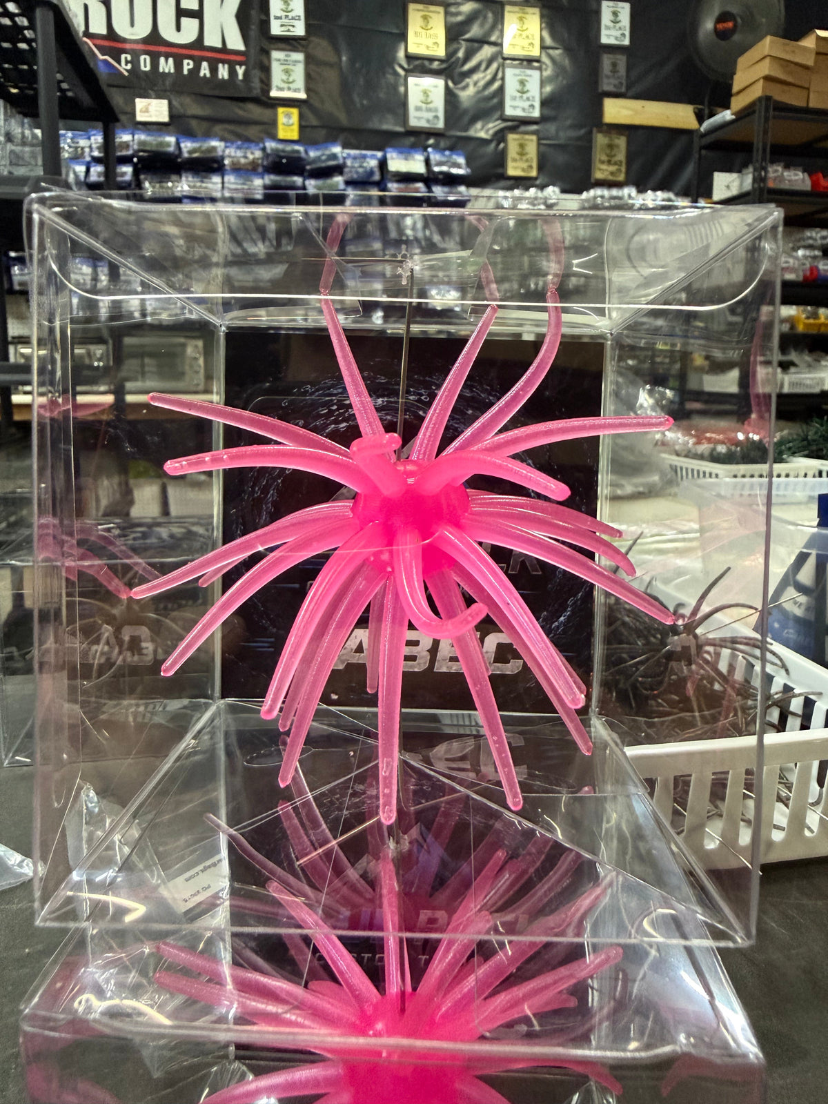 Cabec Urchin 25mm