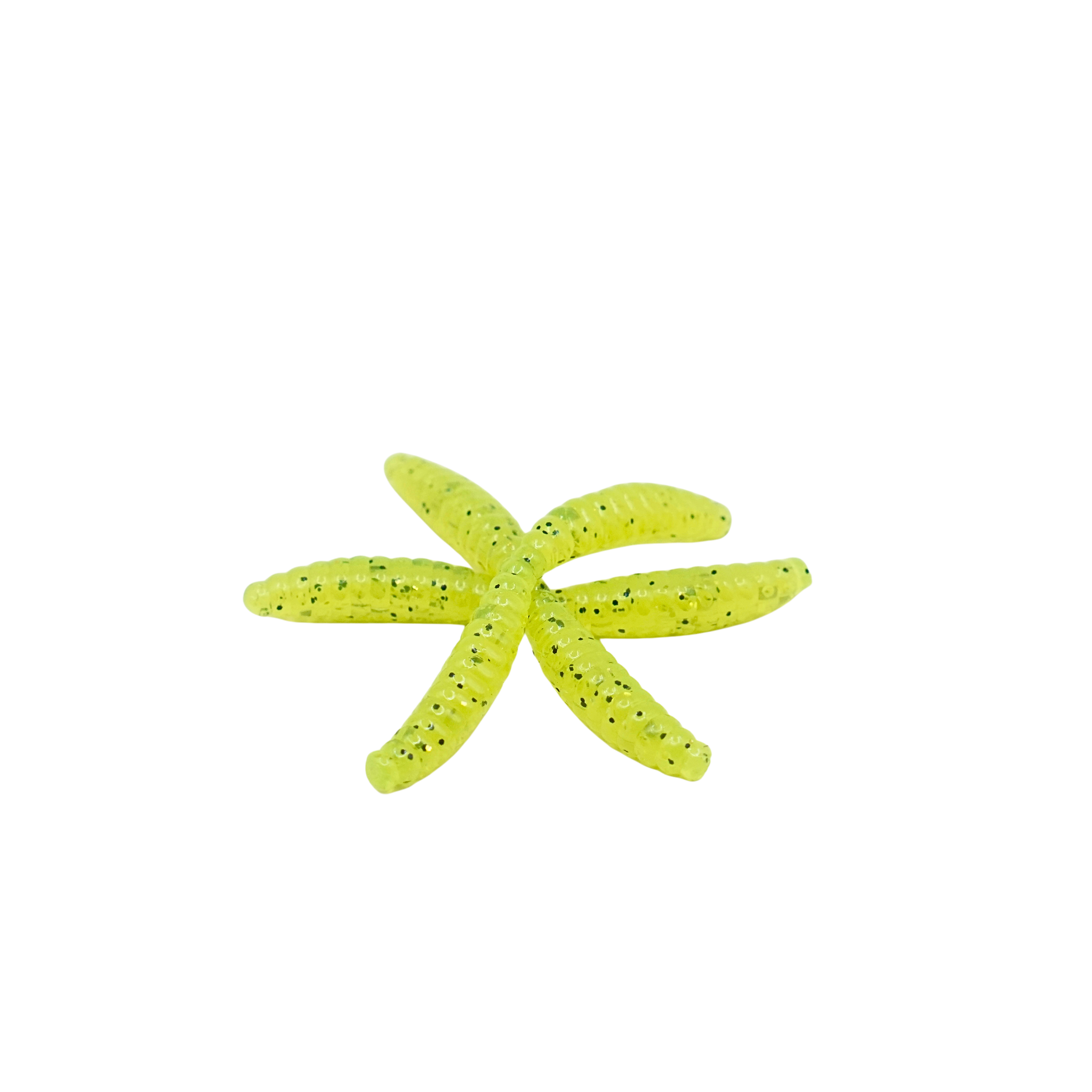 1" Wax Worm